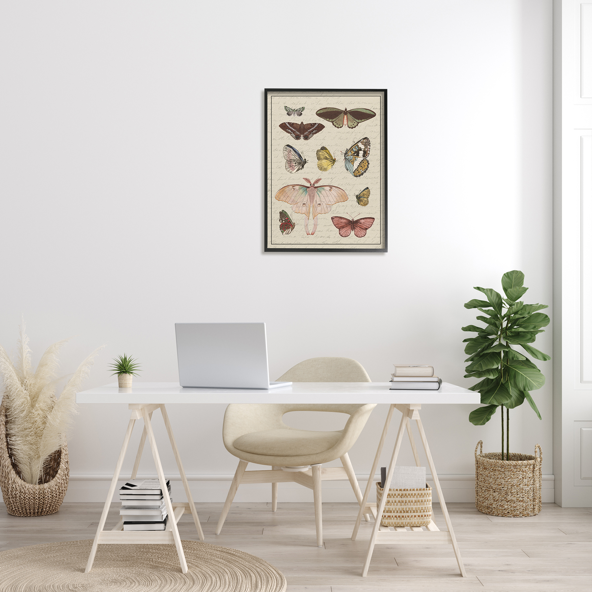 Stupell Industries Vintage Moth and Butterfly Wing Study over Script Animals & Insects Painting Black Framed Art Print Wall Art, 24 x 30