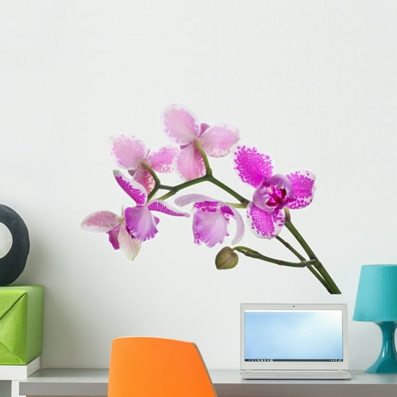 Three Petals Orchids Branch Wall Mural Decal by Wallmonkeys Vinyl Peel and Stick Graphic (24 in W x 17 in H)