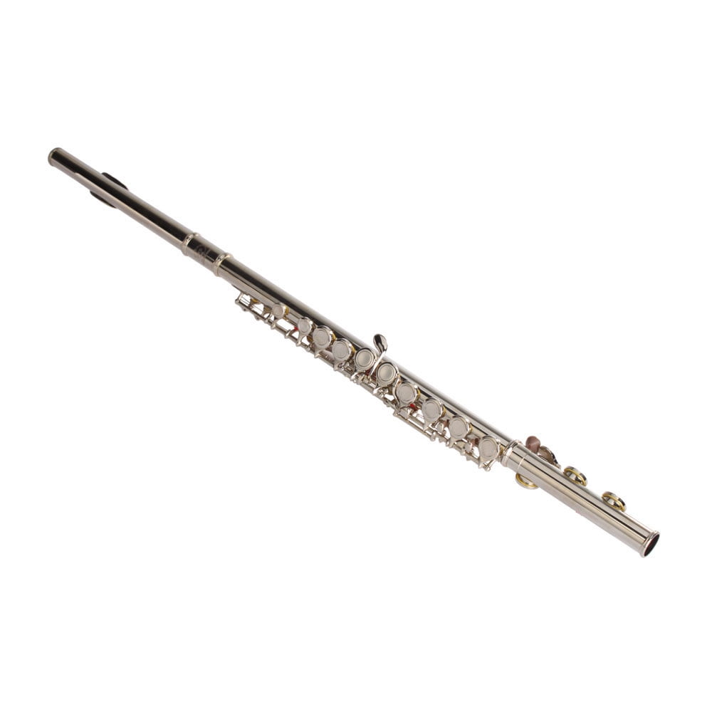 Tcbosik 16-Key Nickel Plated C Closed Hole Flute with Carring Bag, Cloth and Cleaning Rod, Flutes Kit with E Key for Private Lessons, School Band, Home Practice and Orchestra, Silver