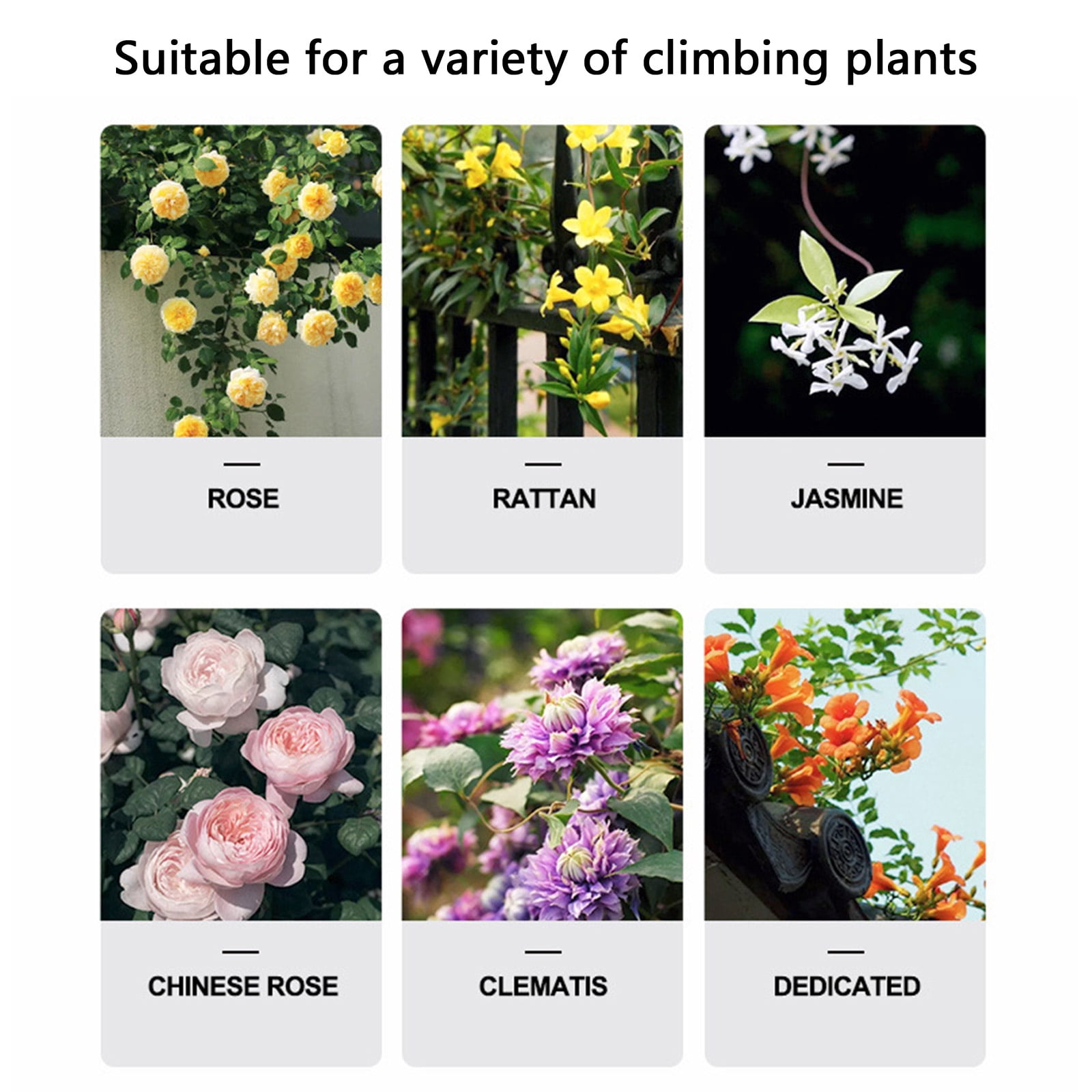 Garden Trellis for Climbing Plants Rustproof Iron Potted Vines Vegetables Vining