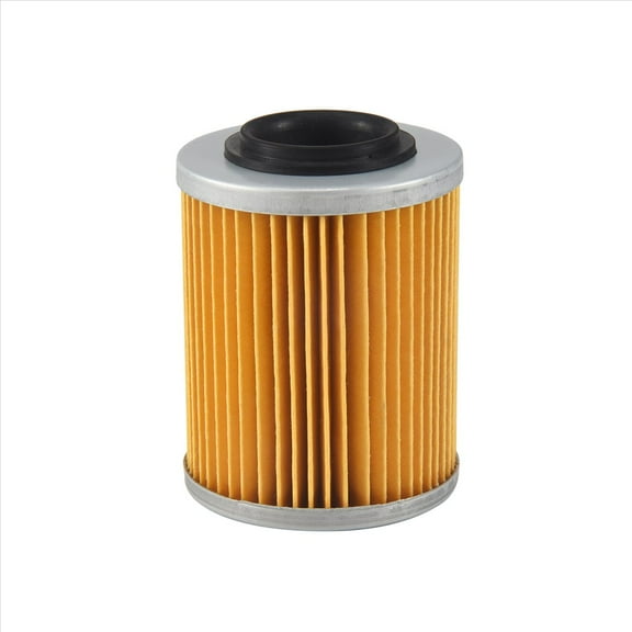 Qilidiba Oil Filter Fit for Odes LZ800 RM800 800 ATV UTV Liangzi SIDE BY SIDE Dominator Raider Assailant ENGINE 21040111601