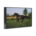 thumbnail image 2 of Stupell Industries Rustic Lodge Dashing Camargue Racehorse Black Framed Giclee Art, 18 x 12, by Scott Stulberg, 2 of 8