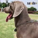 thumbnail image 4 of Collar Estrangulador De Adiestramiento Para Perros Con Caden, 4 of 8