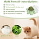 thumbnail image 5 of Paquete de 3 bolas de hierba gatera para gatos, juguetes de hierba gatera con forma de tortuga para gatos de interior, bola orgánica de hierba gatera, lindo juguete para gatos, 5 of 6
