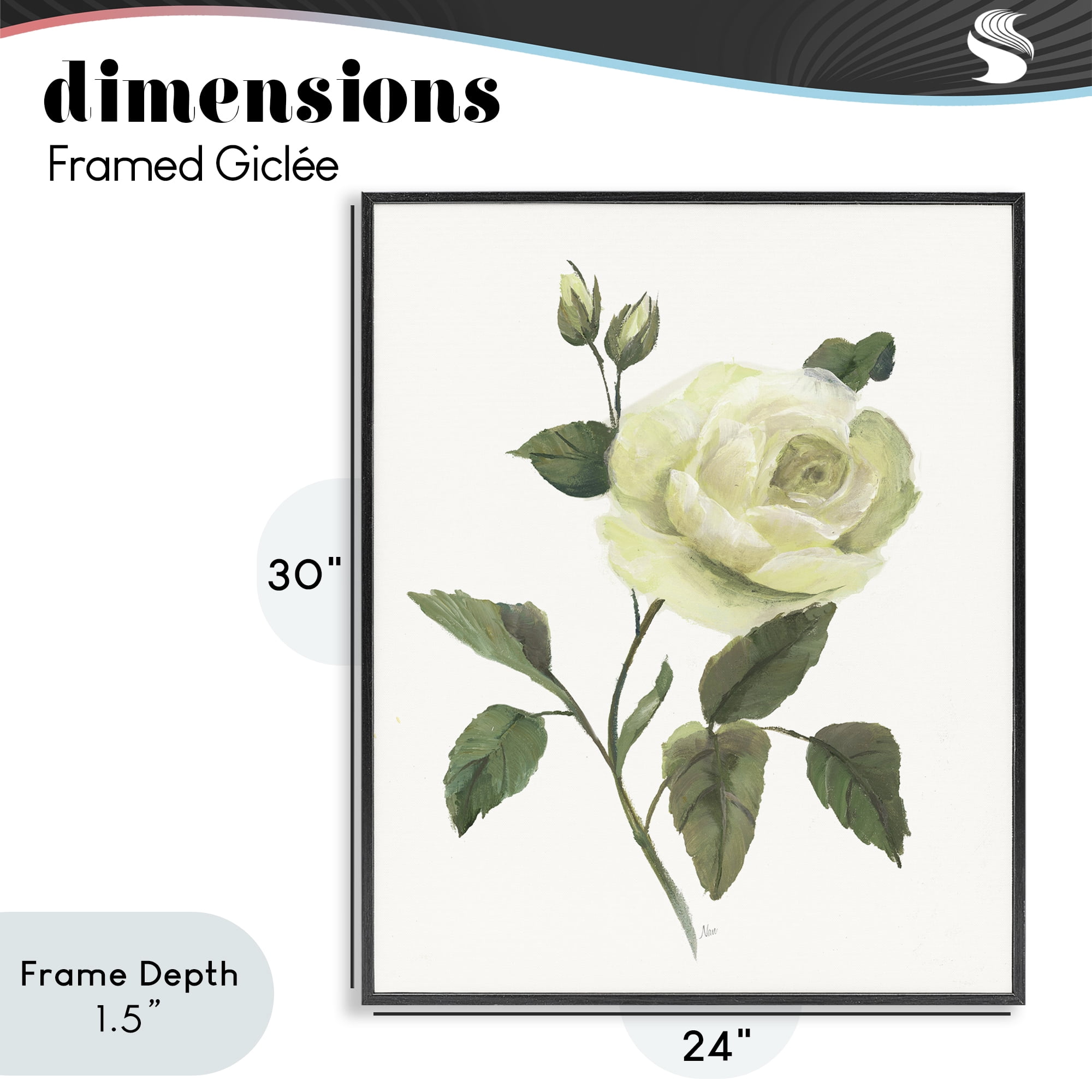 Stupell Industries Cream Garden Rose with Buds Black Framed Giclee Art, design by Nan