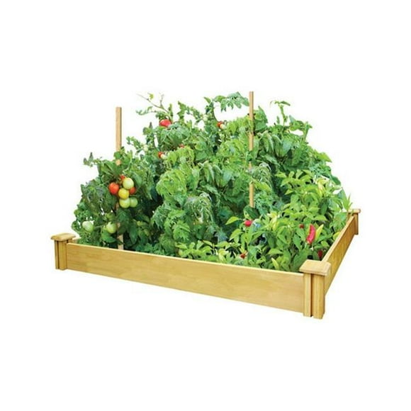 Nuvue 30400 Housse de Plante Suspendue Anti-Givre