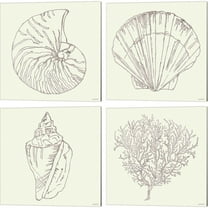 Great Art Now Coastal Breeze Shell Sketches Silver B by Anne Tavoletti 4 Piece Canvas Art Set Each 14W x 14H