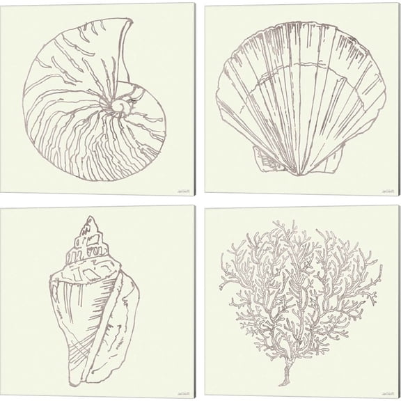 Great Art Now Coastal Breeze Shell Sketches Silver B by Anne Tavoletti 4 Piece Canvas Art Set Each 14W x 14H