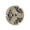 cs4200, variant on Advanceds Clutches for CS260 CS351 CS4200 with Heat Resistance Dusts Proofed