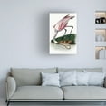 thumbnail image 3 of Canvas Wall Art - Incado 'Spoonbill' Wall Art for Living Room, Bedroom, or Office Décor by Trademark Fine Art - 16 x 24 Inches, 3 of 4
