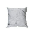 thumbnail image 1 of Coussin Imperméable Extérieur (Marbre Blanc) - Ensemble De 2, 1 of 1