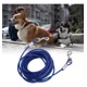 thumbnail image 4 of Cable Amarre Para Perros Cable De Acero Azul 6 Mm X 3 Metros, 4 of 8