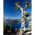 thumbnail image 2 of Crater Lake I Poster Print by Ike Leahy, 2 of 2