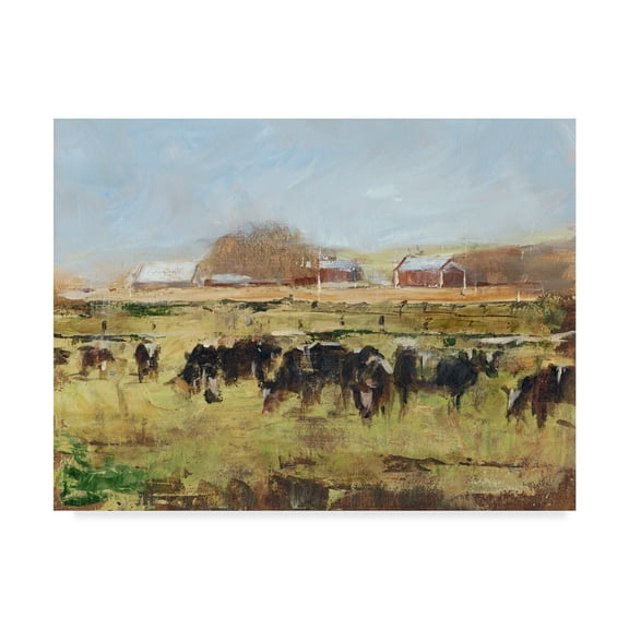 Trademark Fine Art 'Out to Pasture II' Canvas Art by Ethan Harper