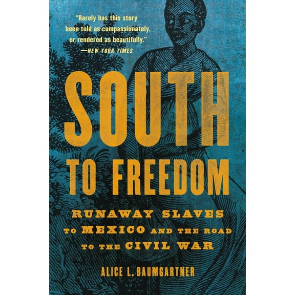 South to Freedom: Runaway Slaves to Mexico and the Road to the Civil War, (Paperback)