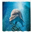 thumbnail image 3 of Ambesonne Fish Shower Curtain, Dolphin in Ocean Marine, 69"Wx84"L, Blue Grey, 3 of 5