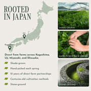 Encha Ceremonial Grade Organic First Harvest, Matcha Green Tea - Uji, Japan (30g/1.06oz)