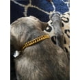 thumbnail image 3 of CZ Fashion Necklace Metal Curb Gold Chain Puppy Link Medium Large Pets Dog Collar, 3 of 9