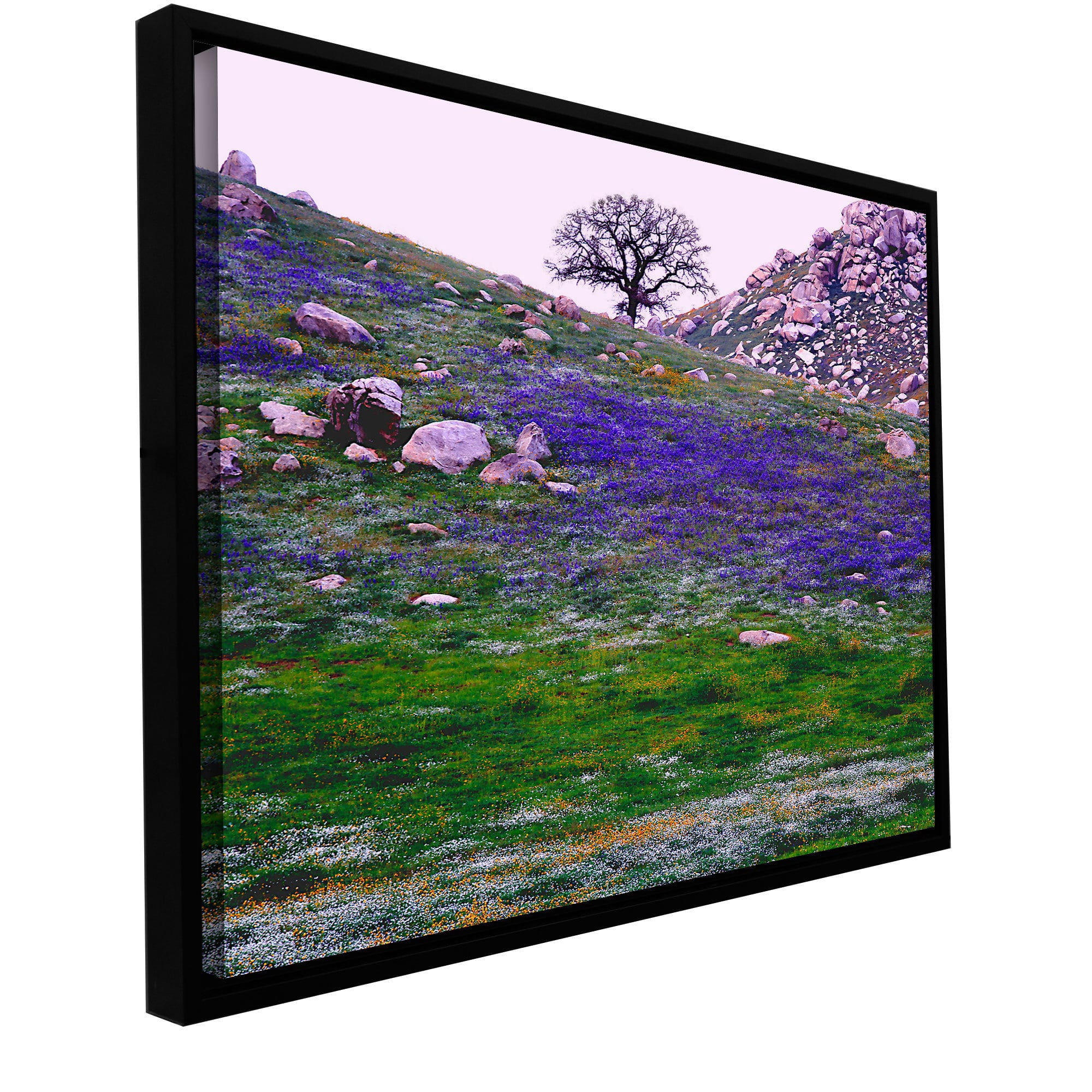 ArtWall Dean Uhlinger "Sierra Foothills Spring" Floater Framed Gallery-Wrapped Canvas