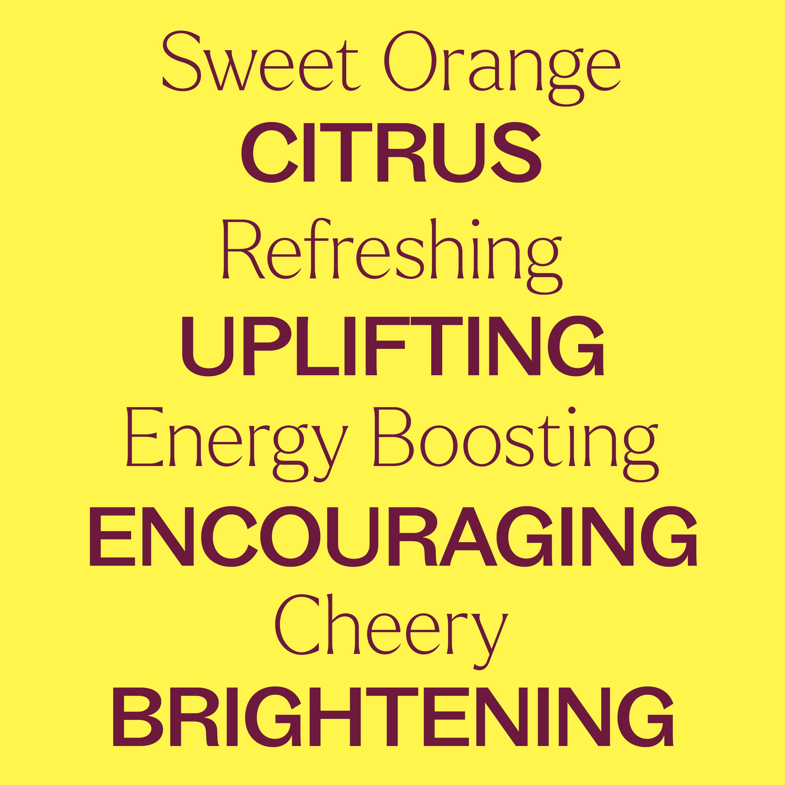 Plant Therapy Sweet Orange Essential Oil 100% Pure, Undiluted, Natural Aromatherapy, Therapeutic Grade 100 mL (3.3 oz)