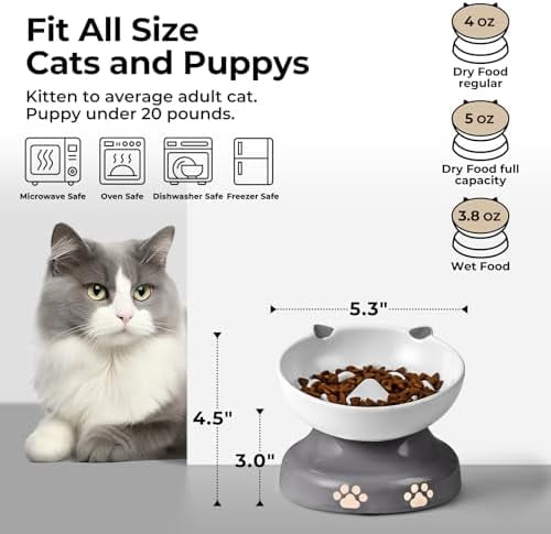 Slow Feeder Cat Bowl, Ceramic Elevated Cat Bowl Tilted Design Slow Feeder for Dog and Cat for Dry and Wet Food, Gray