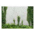 thumbnail image 3 of Surface Texture Wallpaper Wall Mural - Ivy On White Brick Wall, 3 of 8