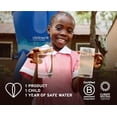 thumbnail image 5 of Filtro de repuesto LifeStraw Home Activated Carbon + Ion, 5 of 5