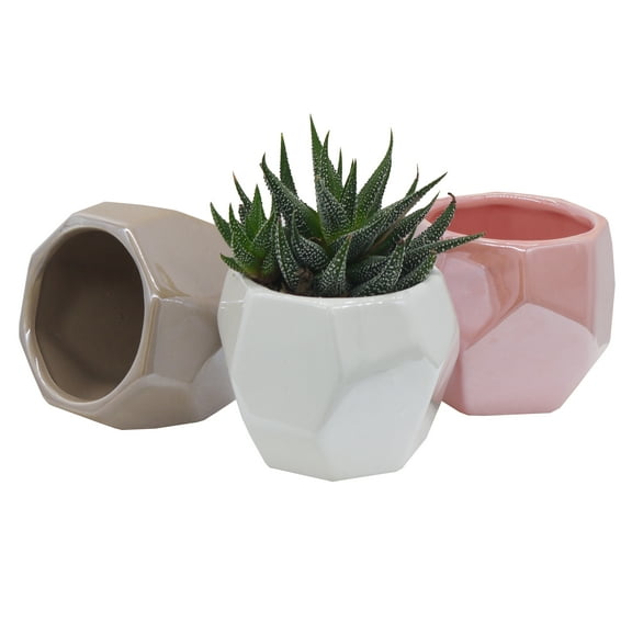 Admired by Nature 3” x 3” x 3” Cube Multicolor Ceramic Geometric Plant Pots (3 Count)
