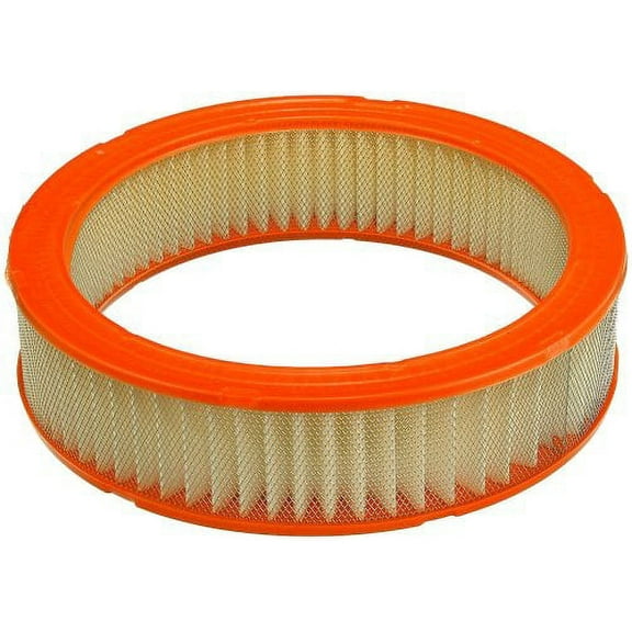 Air Filter-Extra Guard Fram CA4325 Fits select: 1987-1989 DODGE RAM 50, 1987-1988 MITSUBISHI MIGHTY MAX / S