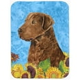 thumbnail image 1 of Carolines Treasures SS4165LCB Curly Coated Retriever- Glass Cutting Board - Large, 1 of 1