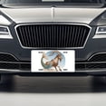 thumbnail image 3 of Zodiac Horoscope Symbol Capricorn Sea Goat Metal Novelty License Plate, 3 of 7