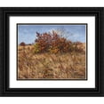 thumbnail image 1 of Ziman, Peter 24x20 Black Ornate Wood Framed with Double Matting Museum Art Print Titled - Dry Autumn, 1 of 4