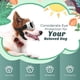 thumbnail image 4 of Gafas para perros con forma de corazón, gafas de sol ajustables para mascotas, resistentes al polvo, a los rayos UV y al viento, color blanco., 4 of 5