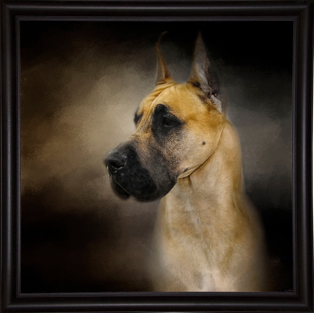 Dashing Great Dane Jaijoh139730 Print 20 X20 By Jai Johnson In A Dashing Great Dane Jaijoh139730 Print 20 X20 By Jai Johnson In A Bistro Expresso Com