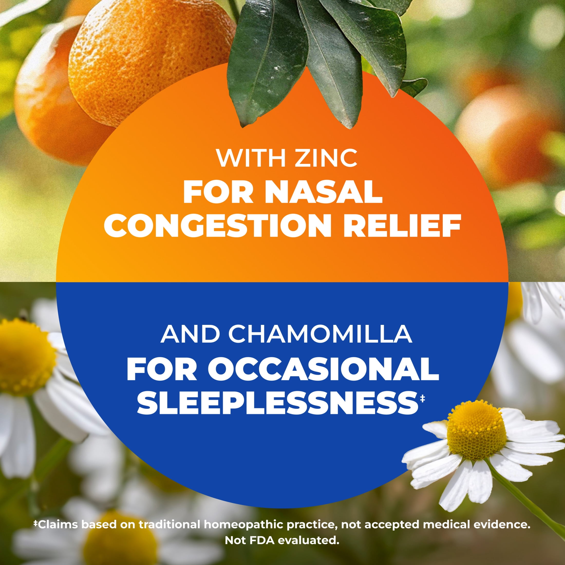 Zicam Cold Remedy Original + Nighttime RapidMelts Combo Pack, Citrus & Grape, 25 Count