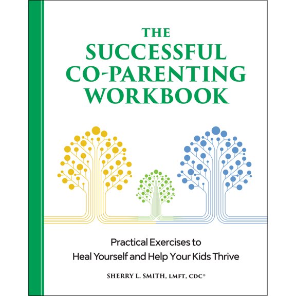 Pre-Owned The Successful Co-Parenting Workbook: Practical Exercises to Heal Yourself and Help Your Kids Thrive (Paperback) 1638071985 9781638071983