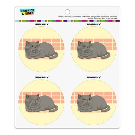 

Chubby British Short Hair Grey Cat Refrigerator Fridge Locker Vinyl Circle Magnet Set