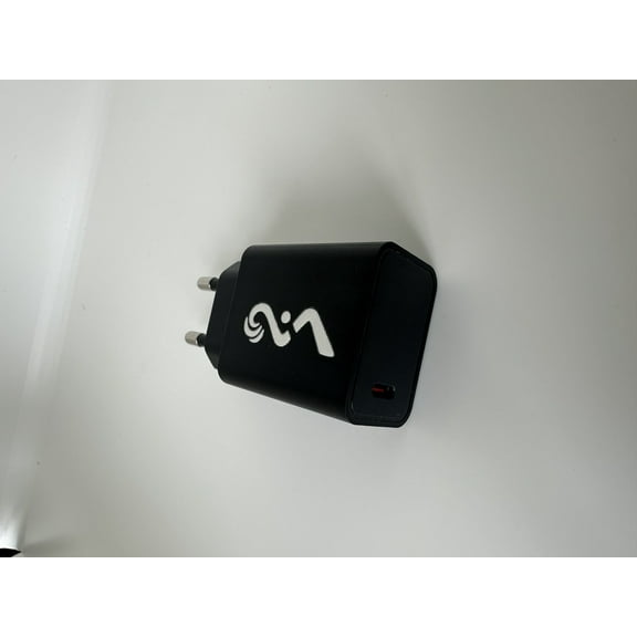 12V 1.67A USB-C Battery Charger, Fast Charging Adapter for Devices and Power Stations, Black