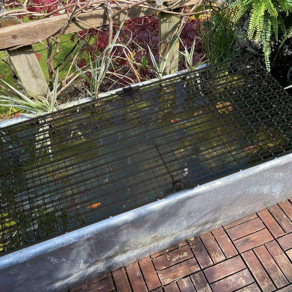 Hytrove 1 Set Black Plastic Fish Tank Covers Aquarium Separator Divider 30X30X0.7In With Suction Cups