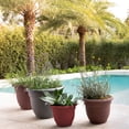 thumbnail image 5 of Bloem Ariana Pot Planter: 12" - Burnt Red - Durable Resin Pot, For Indoor and Outdoor Use, Gardening, Self Watering Disk Included, 3 Gallon Capacity, 5 of 6