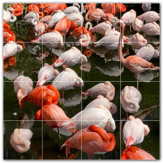 Picture-Tiles.com: Bird Ceramic Tile Wall Mural WAL500188-44XL. 48"W x 48"H using (16) 12" x 12" Ceramic Tiles-Satin Finish