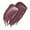 014 Pourpre Miroitant, variante sur Baume à lèvres miroitant Super Lustrous™