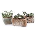 thumbnail image 2 of T4U 5.5 Inch Ceramic Succulent Pot Planter with Drainage Hole Set of 3, Stone Shape Rectangle Window Box Cactus Plant Containers Gift for Mom Sister Aunt Best for Home Office Table Desk Decoration, 2 of 4