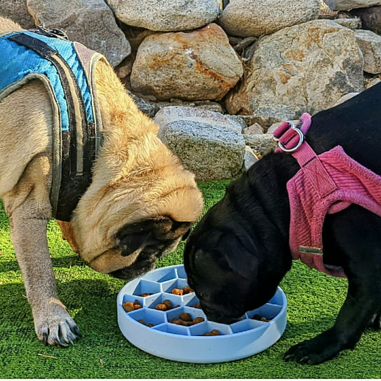 2 Dog Bowl Slow Feeder Anti Bloat No Gulp Puppy Pet Cat Interactive Feeding  Tray