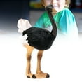 thumbnail image 3 of Solid Simulation Animal Ostrich Model Home Decoration Accessory Model Display, 3 of 4