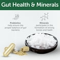 thumbnail image 3 of Nature's Protection Superior Care Dog Treats for Endurance, Adult White Coat Dogs, Insect & Rice, 5.29oz, 3 of 8