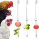 thumbnail image 2 of Comederos para pájaros para exteriores, bandeja colgante para alimentar pollos, cadena de acero inoxidable, brocheta para verduras y mascotas., 2 of 6