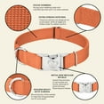 thumbnail image 4 of Country Brook Petz® Premium Nylon Dog Collar with Metal Buckle for Small Medium Large Breeds (Medium, 3/4 Inch, Coral), 4 of 4