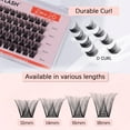thumbnail image 5 of 50Pcs Individual Lashes Extensions (D Curl Cluste Rome 12-18mm）, 5 of 7