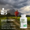 thumbnail image 3 of Suplemento de extracto de Shilajit de Bronson 500 mg, 120 cápsulas, 3 of 8